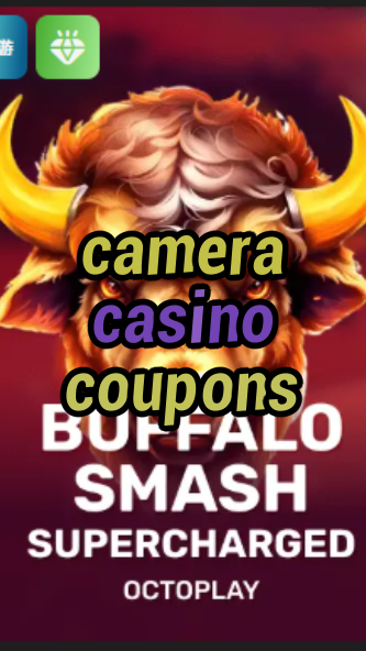 camera casino coupons-w4cy2mdjlx2bf.com